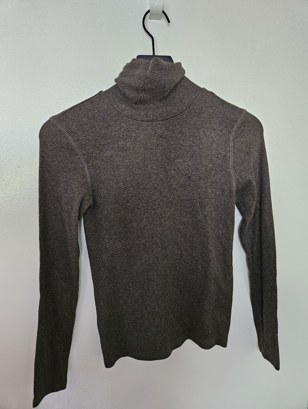 Everlane Dark Brown Turtleneck